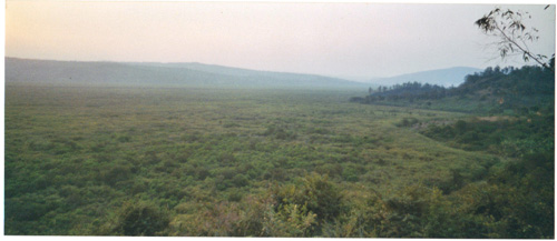 les grands marais de la Nyabarongo